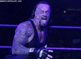 Which Wwe Superstar Do U Resemble