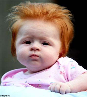 Are You A Ginger ?