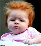 Are You A Ginger ?