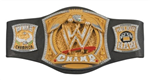 Which Wwe Tittle Will You Hold