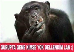 Nasıl Şut Çekersin