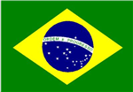 Fifa 2010 Winner