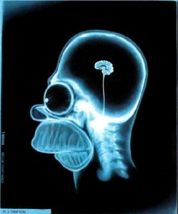 ¿Que Tan Inteligente Eres?