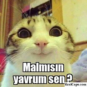Mal Misin? 