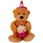 Kaushal's Teddy Shop