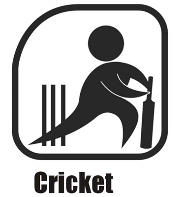The Best School Cricket Team