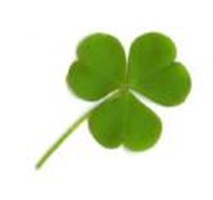 How Lucky Are You?