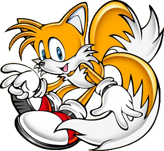 Wich Sonic Character Are You?