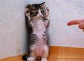 Polls. (I Know, I Know. It Sounds Boring. But It I