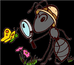Ants In Your Pants