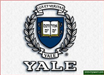 Which School Will You Go To?