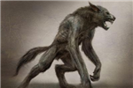 Are You A Vampire Or A Werewolf Today?