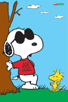 Are You Cool Or Hot Today ?????