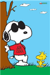 Are You Cool Or Hot Today ?????