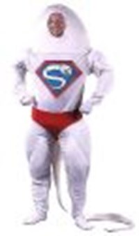 Haloween Costume Poll