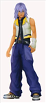 What Kingdom Hearts Character Are You?