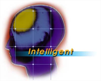 Intelligent Person