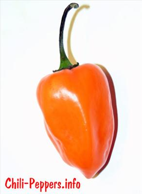 What Type Of Chili Are You