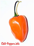 What Type Of Chili Are You