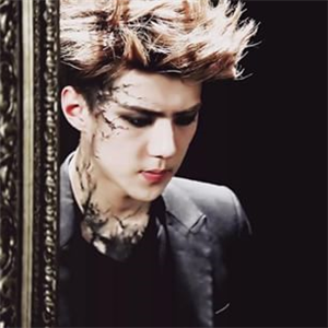 Hangi Exo Üyesisin