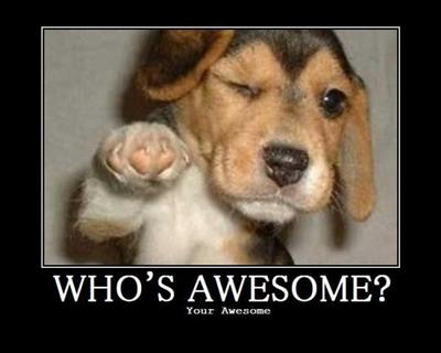 Are You Awesome?