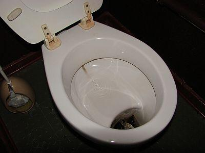 What Kind Of Poop Are You?