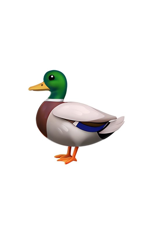 🦆