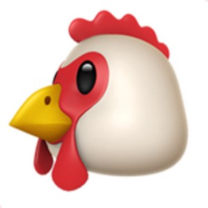 🐔
