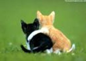 What Type Of Friend Are You? Quiz