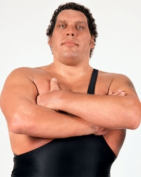 Hangi Eski Wwe Güreşçisisin?