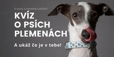 Kvíz O Psoch