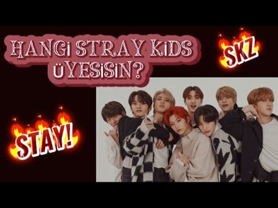 Hangi Stray Kids Üyesisin 