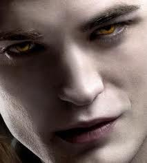 What Are You Edward Or Jacob