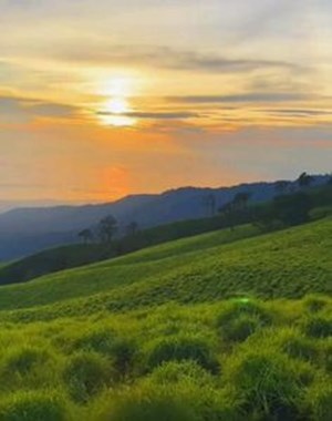 Apakah kamu terkenal? 