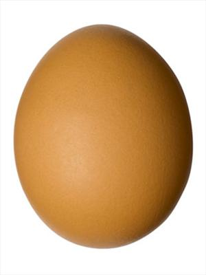 Which Was First? Egg Or Chicken