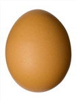 Which Was First? Egg Or Chicken