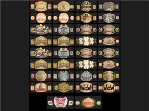 Cual Seria Tu Cinturón De Wwe?