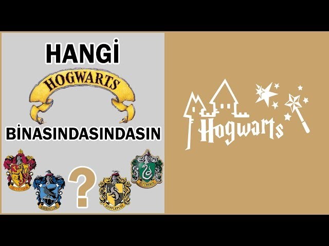 Harry Potter Hangi Binaya Aitsin