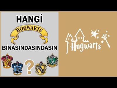 Harry Potter Hangi Binaya Aitsin