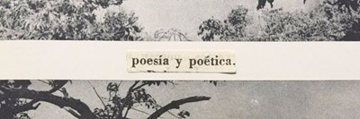 ¿Qué miembro de la familia es tu pareja ideal?