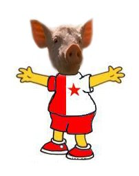 Sparťan Nebo Slávista