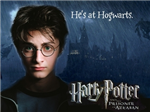 Who Is Your Harry Potter Lover?