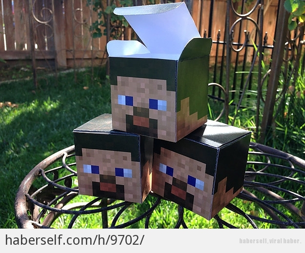 Hangi Minecraft Karakterisiniz