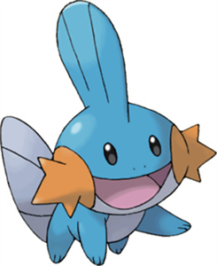 Du Yu Liek Mudkipz