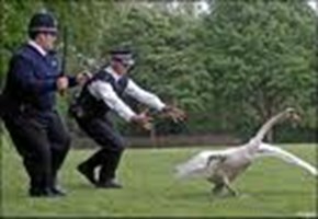 How Much Do You Know About Hotfuzz