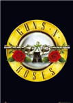¿Eres Fande Los Gnr O De Acdc?