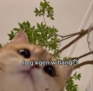 Seberapa kamu tau aku?
