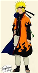 Mirip Siapa Kamu Di Kartun Naruto ?