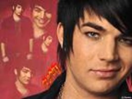 How O.A.L.D. (Obsessive Adam Lambert Disorder) Are