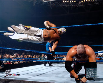 What Wwe Superstar Are You